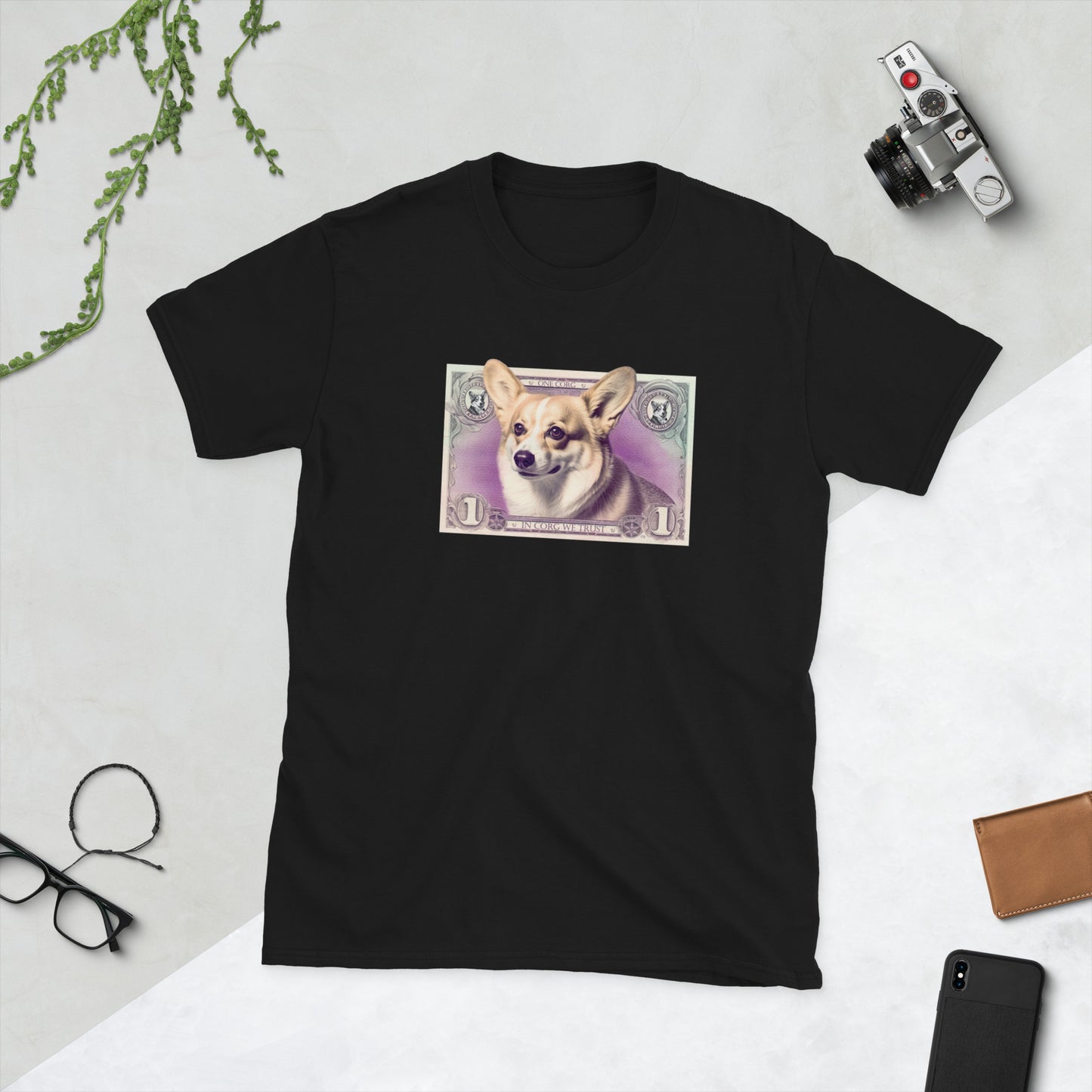 Corgi Money
