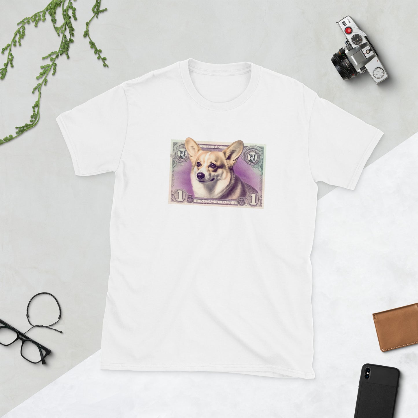 Corgi Money