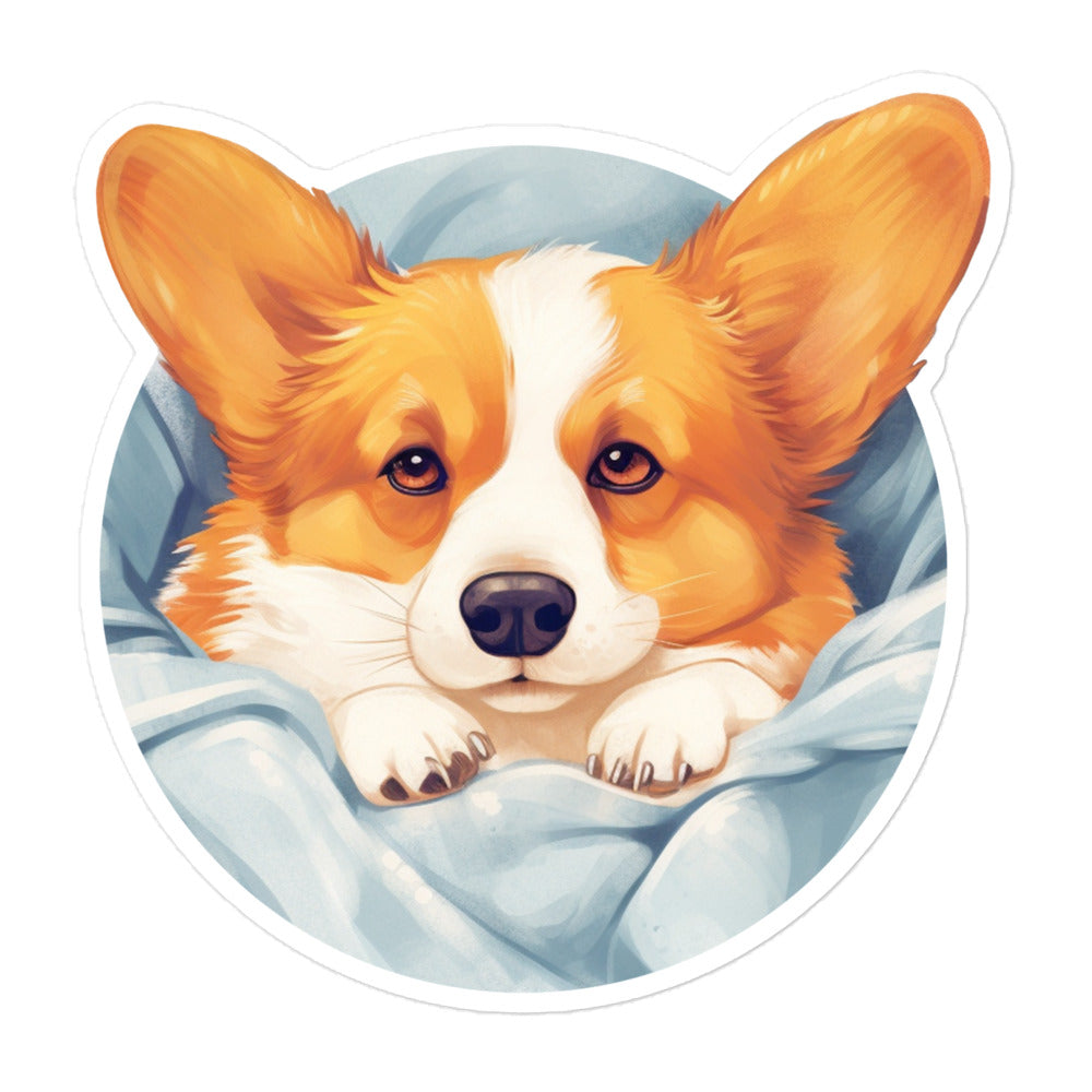 Sleepy Corgi